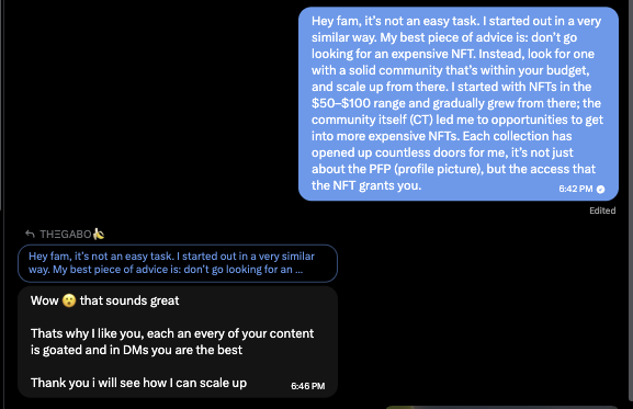 A screenshot of a Telegram chat shows a message recommending an NFT collection with a strong community rather than the “PFP (profile picture),” mentioning starting with NFTs in the $50–$100 range and “CT.” A reply below says, “Wow 🤩 that sounds great,” praises the sender’s content, and adds, “Thank you! I will see how I can scale up.”