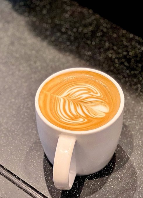A close-up photo of a white ceramic mug filled with a latte featuring beautiful leaf-shaped latte art, sitting on a dark speckled countertop.