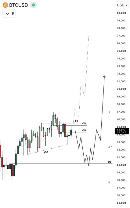This is a BTCUSD chart showing price action with a projected bullish trend after a potential downside move into a discount OB. The chart displays candlestick patterns, price levels up to 80,000, and denotes "TS" and "OB" zones.