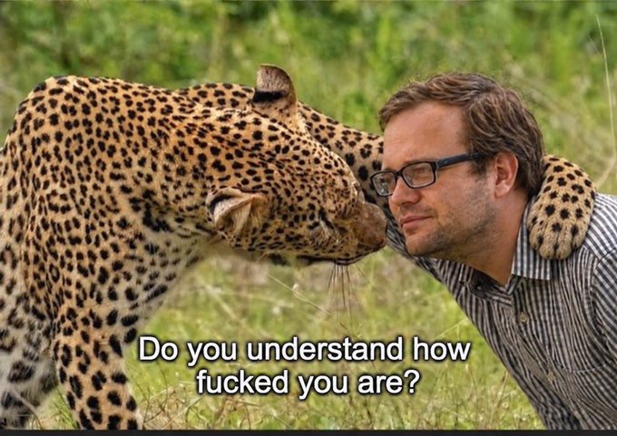 A leopard affectionately rests its paw on a smiling man's shoulder, paired with the caption "Do you understand how fucked you are?" The image humorously suggests that anyone shorting or underestimating the asset faces imminent danger from a powerful predator, mirroring the post's bullish warning that massive catalysts like swaps, API, OTC desk, OLP, and surging open interest are "not priced in" and will devastate bears in the looming "raging bull market."