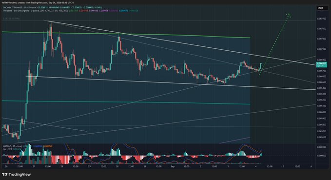 A TradingView chart for VeChain (VET) against Tether (USDT) showing a descending wedge pattern with a projected breakout and indicators like MACD and RSI at the bottom.