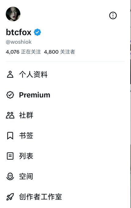 A Twitter/X profile screenshot for 'btcfox' (@woshiok) showing 4,076 following and 4,800 followers, with Chinese menu options including Premium, 社群, 书签, 列表, and 创作者工作室.