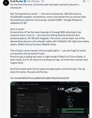 A X post from "Baal by-the-C" (@structurfarm_io) discusses an open-source GitHub repository mapping the brain wiring of an adult female fruit fly, containing 27,000+ unique neuronal types. The code compiles with DNAZipZ and uses GPU-accelerated libraries (BLOSC, ffmpeg-avi-codec), with the developer inquiring about building an "Auto-Dysol Rack" using these neural connectors. A bottom screenshot shows a dark-themed chat interface.