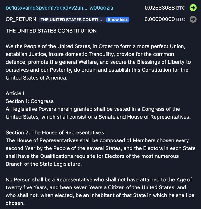 The image features a document, presumably an article or law on the United States Constitution, written on a piece of paper. The document is displayed against a dark background and appears to be printed. There are various names and texts present throughout the document that may suggest the presence of certain individuals or authorities involved in creating this legal piece.