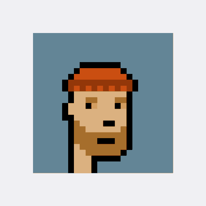 A minimalist pixel art portrait of a bearded man with light skin wearing an orange beanie against a solid blue background.