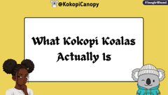 A thumbnail or graphic titled "What Kokopi Koalas Actually Is" featuring cartoon avatars on a yellow background with the Twitter handle @KokopiCanopy.