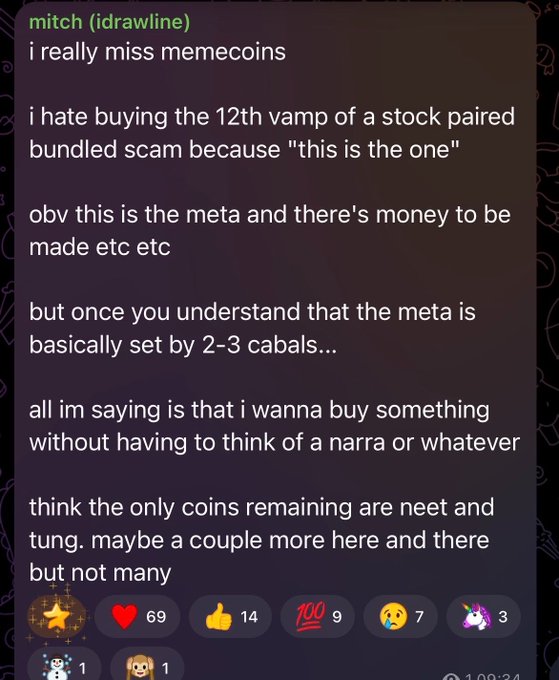 A screenshot of a message from user 'mitch (idrawline)' lamenting missing memecoins, complaining about stock-paired bundled scams and meta-driven narratives, and concluding that only a few coins like 'neet' and 'tung' remain.