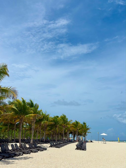 A tropical beach scene with rows of empty lounge chairs under palm trees, a lifeguard stand, and a partly cloudy blue sky.
