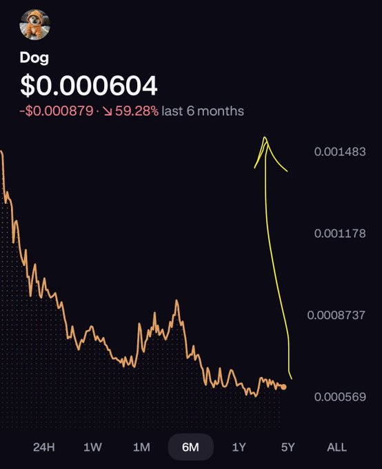 A cryptocurrency chart for the token 'Dog' priced at $0.000604, showing a -$0.000879 (59.28%) decline over the last 6 months, with the 6M timeframe selected.