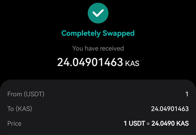 A cryptocurrency transaction confirmation screen showing 'Completely Swapped' status, with a successful exchange from 1 USDT to 24.04901463 KAS at a rate of 1 USDT = 24.0490 KAS.