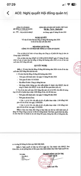 A screenshot of a Vietnamese corporate document from "CÔNG TY CỔ PHẦN MỸ TÂM AN GIANG," displaying a BOD resolution dated August 8, 2026, regarding the distribution of 2025 profits.