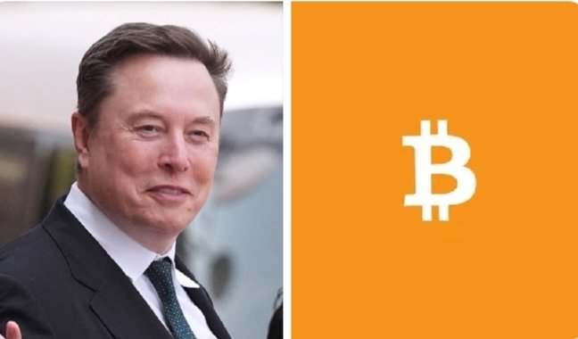The image shows a man wearing a suit and tie with the name "Elon Musk" written above his head. The man is standing next to an orange square that features the letter "B". The caption of the image reads, "Elon Musk reaffirmed that he personally holds Bitcoin, while both Tesla and SpaceX continue to own BTC. He also revealed that he owns smaller amounts of Ethereum and Dogecoin."

The main focus of the image is the man's name and his association with Bitcoin. The orange square with the letter "B" serves as a visual representation of the cryptocurrency. The caption provides context about the man's ownership of Bitcoin, Tesla, and SpaceX, suggesting that he might be an early adopter or supporter of Bitcoin technology.