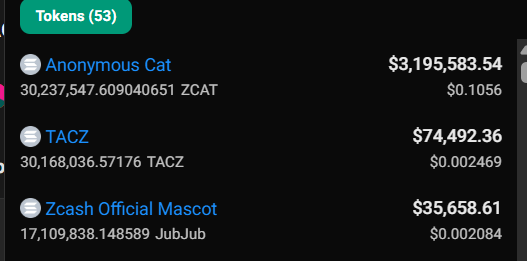 A screenshot showing token holdings including 'Anonymous Cat' (ZCAT) valued at $3,195,583.54, 'TACZ' at $74,492.36, and 'Zcash Official Mascot' (JubJub) at $35,658.61.
