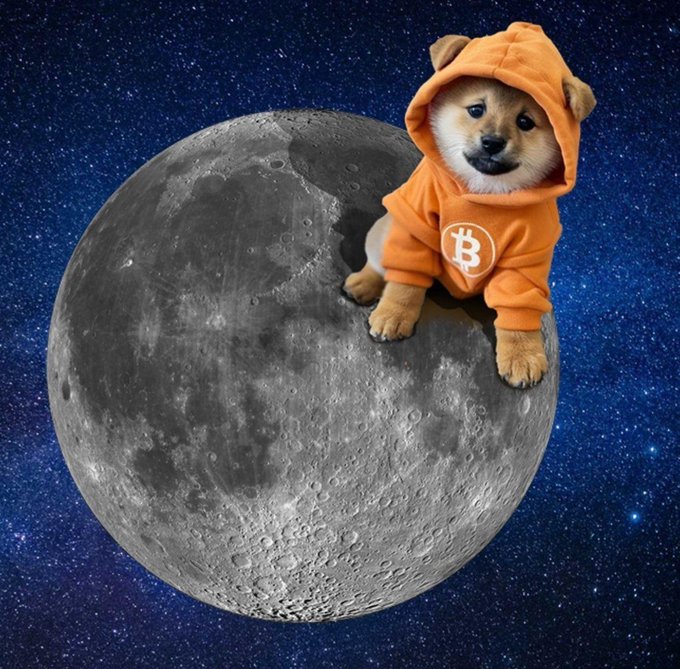 A Shiba Inu puppy in an orange hoodie with the Bitcoin logo sits on top of the moon against a starry sky, visually representing the "to the moon" crypto optimism expressed in the bullish post about $DOG.