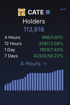 A cryptocurrency statistics screen for 'CATE' shows 113,818 holders, with increases across 4 hours (686/0.61%), 12 hours (3397/3.08%), 1 day (7859/7.42%), and 7 days (42335/59.22%).