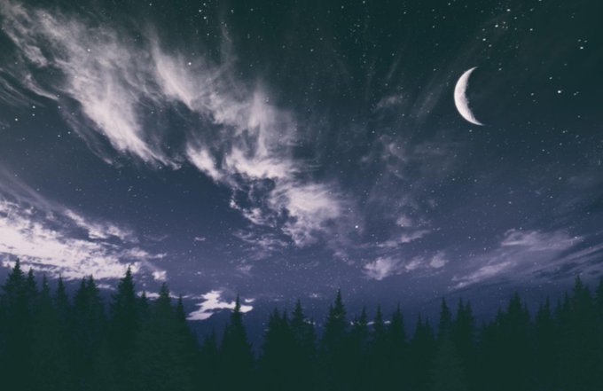 A night sky scene featuring a crescent moon and wispy clouds illuminated against a starry backdrop, with silhouettes of evergreen trees lining the bottom.