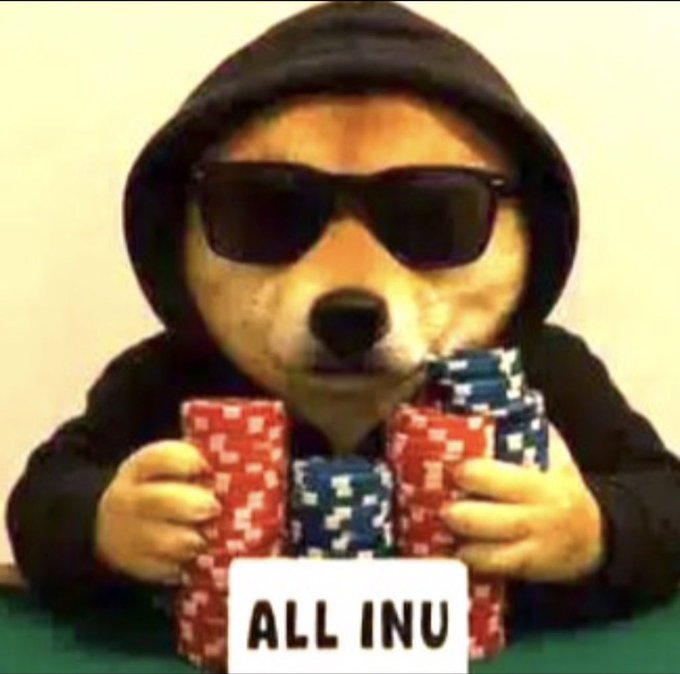 A Shiba Inu dog (commonly known as "Doge") wearing a hoodie and sunglasses sits at a poker table holding stacks of red and blue poker chips, with a sign reading "ALL INU" — a playful pun on "all in" that ties into the post's sentiment about going all-in on a promising investment opportunity.