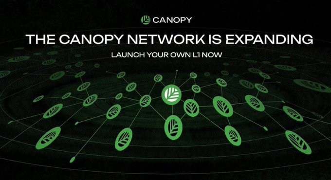 A promotional banner for Canopy featuring a network of green leaf icons connected by lines on a dark background, with text reading 'CANOPY', 'THE CANOPY NETWORK IS EXPANDING', and 'LAUNCH YOUR OWN L1 NOW'.