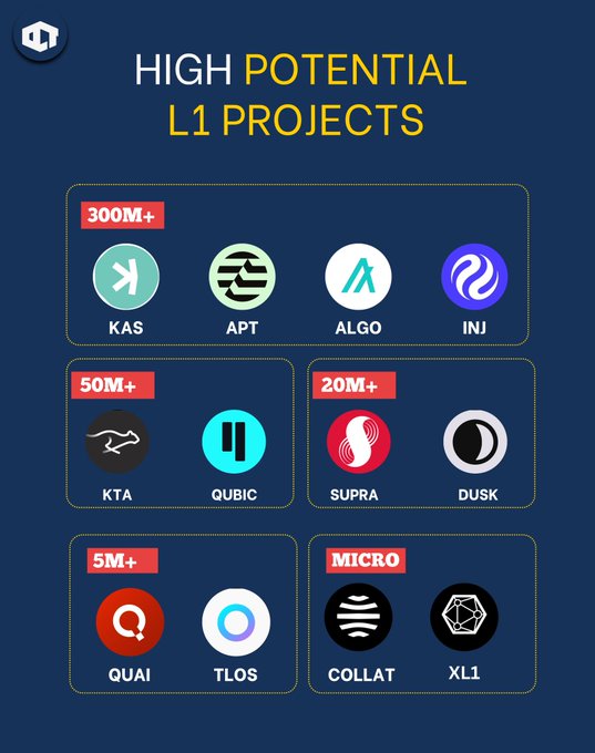 The image shows a list of logos for various cryptocurrency projects, including Bitcoin, Ethereum, Ripple, and others. The project names include Bitcoin, Ethereum, Ripple, and others. There are also logos for companies such as KAS, APT, ALGO, INJ, and others. The post is titled "High Potential L1 Projects" and includes a list of the projects along with their logos.