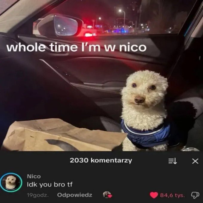 A Snapchat post showing a small dog in a car wearing a blue jacket, captioned 'whole time I'm w nico,' with Nico replying 'Idk you bro tf' and 84.6K likes.