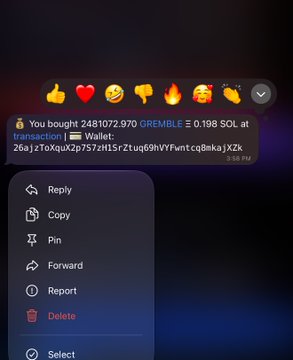 A screenshot of a Discord message notification showing a purchase confirmation for 0.198 SOL worth of GREMBLE (248,1072,970 tokens) via Wallet transaction at 3:58 PM, with a context menu displaying options like Reply, Copy, Pin, Forward, Report, and Delete—illustrating the early acquisition referenced in the post about buying GREMBLE before its significant price movement.