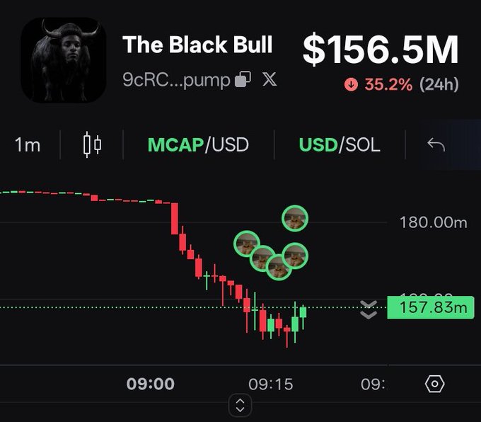 A trading chart for "The Black Bull" token (ticker 9cRC...pump) showing a market cap of $156.5M, down 35.2% in 24h, with the price hovering near $157.83M on the MCAP/USD view. The post compares buying $ANSEM at $0.16 to an early WIF entry, using the meme of bullish buyers stepping in during a dip—fitting the chart's recent pullback from the $180M level.