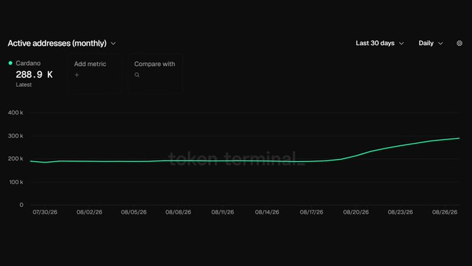 A Token Terminal chart displaying 'Active addresses (monthly)' for Cardano, showing the latest value at 288.9 K, with a generally flat trend from late July to mid-August that rises toward the end of August.
