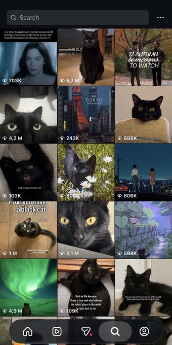 A screenshot of the Pinterest app showing a search feed filled primarily with images of black cats, featuring view counts ranging from 698K to 5.7M, alongside other content like an autumn anime recommendation post.