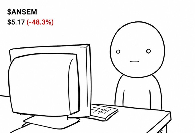 A simple line drawing of a person at a computer displaying '$ANSEM $5.17 (-48.3%)' in red and black text.