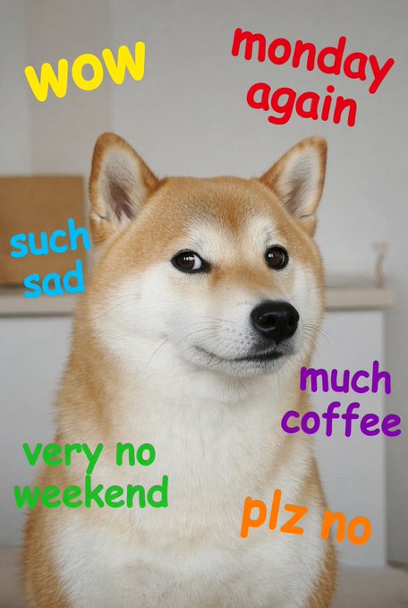 A 'Doge' meme featuring a Shiba Inu dog with colorful text overlays including 'wow', 'monday again', 'such sad', 'much coffee', 'very no weekend', and 'plz no'.