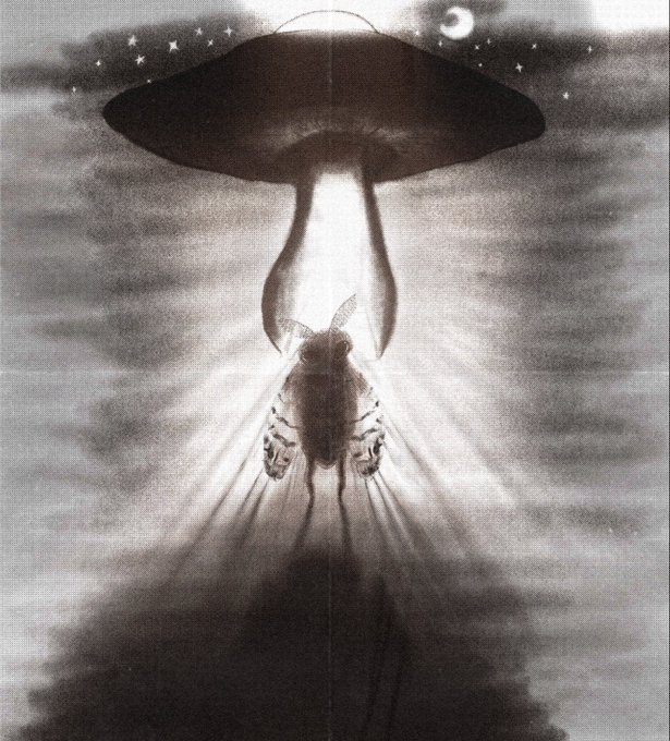 A surreal monochromatic illustration depicts a UFO beaming down a fly-like creature against a starry night sky.