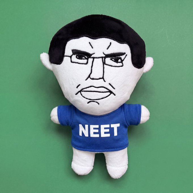 A plush toy with an angry-faced embroidered head, black hair, and glasses wears a blue t-shirt with 'NEET' printed on it, displayed against a green background.