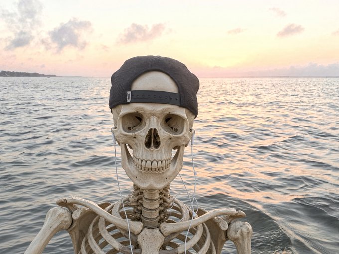A skeleton wearing a black backwards baseball cap stands in front of a body of water at sunset.