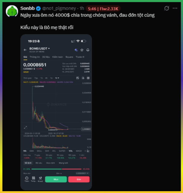 A Vietnamese tweet from 'Sonbb (@not_pigmoney)' about BOME/USDT showing a chart with significant price drop, with text describing past $4000 losses and current pain.