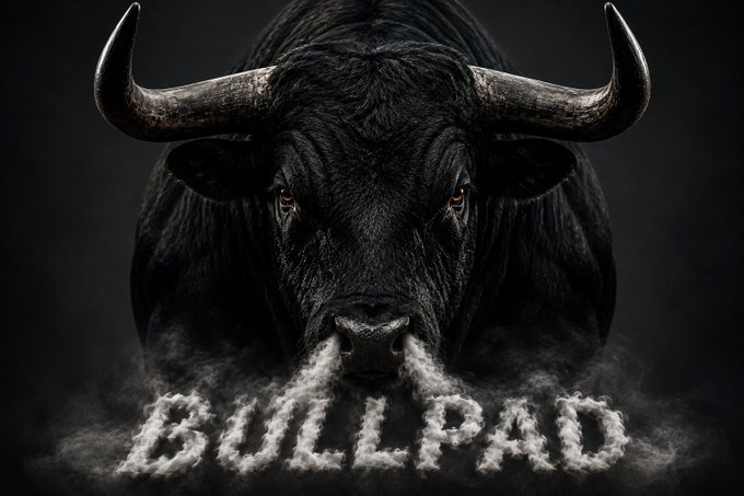 A dramatic digital artwork of a black bull with curved horns, its breath forming the word "BULLPAD" in smoke at the bottom.