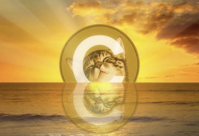 A serene sunset over the ocean with a tabby kitten's face peeking through a translucent "@" symbol, its reflection mirrored in the water below, playfully illustrating the "gCATE" handle with the feline theme.