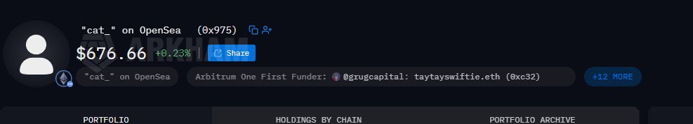 The image shows a portfolio tracker displaying a wallet holding a token called "cat_" on OpenSea (contract 0x975) valued at $676.66, up 0.23%. The wallet is identified as a possible "Arbitrum One First Funder" of @grugcapital's address taytayswiftie.eth (0xc32), supporting the post's claim that they uncovered the dev address behind the project.