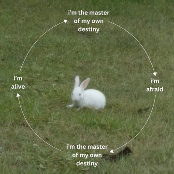 A small white rabbit sits in the grass surrounded by a circular cycle of text reading "I'm the master of my own destiny," "I'm afraid," and "I'm alive," humorously capturing the chaotic mix of confidence and anxiety often felt in crypto trading communities on a Friday morning.