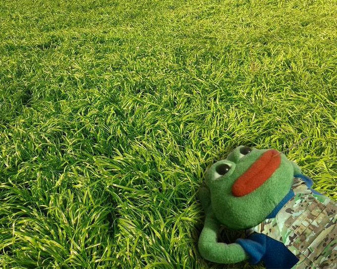 A plush frog toy wearing overalls lying in bright green grass.