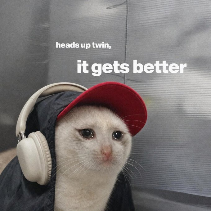 A crying white cat wearing a red baseball cap and headphones appears above the text "heads up twin, it gets better," serving as a reassuring meme to defend the $CASHCAT crypto token amid online criticism.
