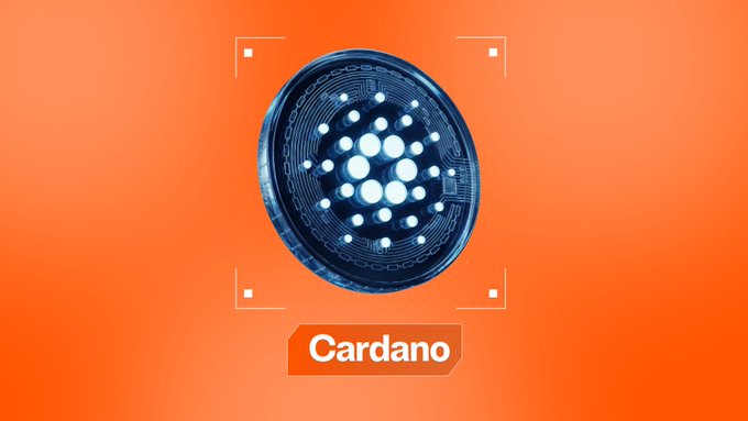 A digital illustration of the Cardano cryptocurrency coin displayed on an orange background with the text 'Cardano' below it.