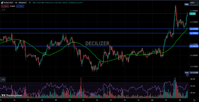 A TradingView chart of ROSL/USDT on Binance shows an RSI indicator and price action, with the watermark 'DECILIZER' across the chart.