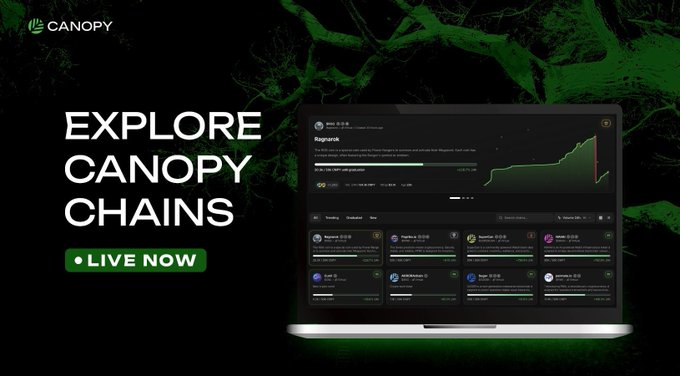 A promotional graphic with the text 'EXPLORE CANOPY CHAINS' and 'LIVE NOW', showing a laptop displaying a green-themed digital dashboard interface.