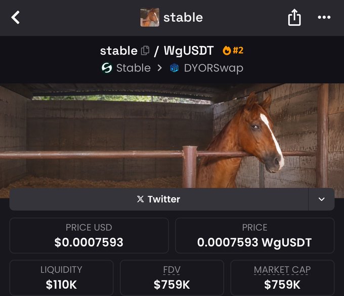 A screenshot of the "stable" token (WgUSDT) on DYORSwap shows a meme of a horse in a stable alongside stats like a $0.0007593 price and $759K market cap, reinforcing the post's playful nod to the project's name and its low valuation relative to a "108B Mcap" founder's credibility.