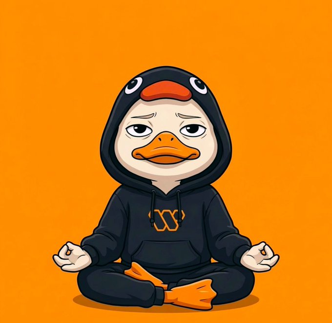 The image features a cartoon duck sitting cross-legged with its eyes closed, wearing a hoodie and posing as if in a meditative pose. The background of the image is orange, which complements the overall color scheme of the cartoon duck's outfit. The caption provided seems unrelated to the image itself but might be an attempt to link it to the post about cryptocurrency or the Wallchain project.