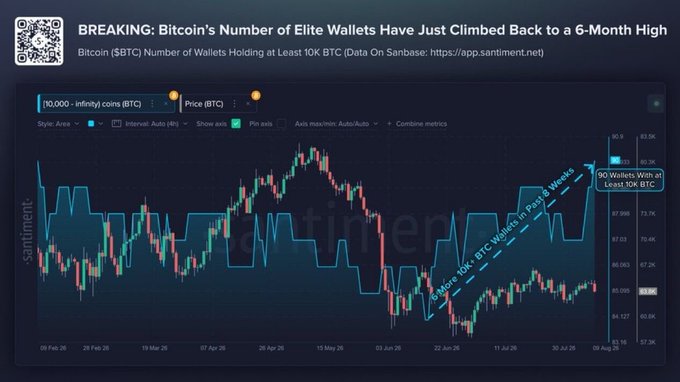A Santiment chart titled "BREAKING: Bitcoin's Number of Elite Wallets Have Just Climbed Back to a 6-Month High" displays BTC price action (~$87,500) from February to early August 2026 alongside a step chart tracking the number of wallets holding at least 10,000 BTC, which recently climbed to 90—matching the post's claim about elite wallet accumulation hitting a six-month high.