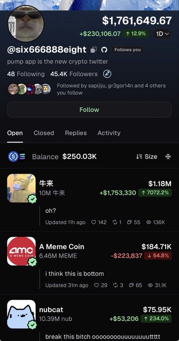 A Pump.fun profile for @six66688eight shows a portfolio balance of $250.03K with notable positions in 牛来 (10M, +7072.2%) up $1.18M, A Meme Coin (6.46M MEME, -54.8%) at $184.71K, and nubcat (10.39M NUB, +234%) at $75.95K, reflecting the post's commentary about high-risk memecoin bets where some traders are heavily sized in and unconcerned, with MEME expected to be a long-term 100M runner despite the -54.8% drawdown.