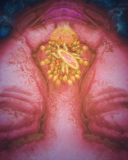 A surreal, textured artwork in deep pinks and reds depicting a symmetrical, organic form with a central cluster of golden orbs connected by vein-like structures, set against a dark background.