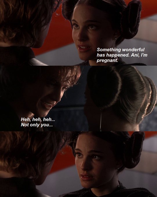 A three-panel meme using screenshots of Padmé Amidala and Anakin Skywalker from Star Wars, with text reading 'Something wonderful has happened. Ani, I'm pregnant', 'Heh, heh, heh... Not only you...', and no text on the bottom panel.