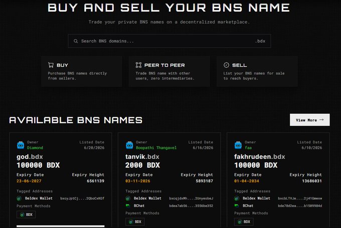 A dark-themed website interface for 'BUY AND SELL YOUR BNS NAME' on a decentralized marketplace, featuring options to Buy, Peer to Peer trade, or Sell, along with a list of available BNS names such as 'god.bdx' for 100000 BDX, 'tanvik.bdx' for 2000 BDX, and 'fakhrudeen.bdx' for 100000 BDX.